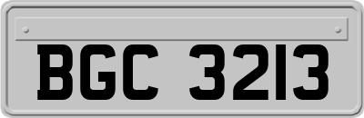 BGC3213