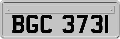 BGC3731