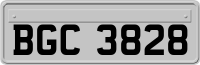 BGC3828