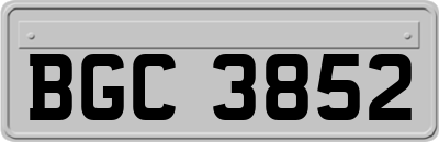 BGC3852