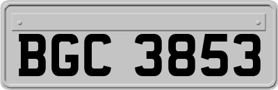 BGC3853