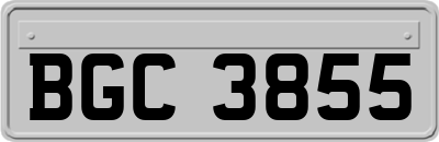 BGC3855