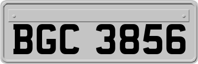 BGC3856