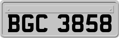 BGC3858