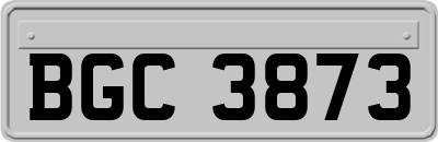 BGC3873