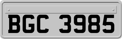 BGC3985
