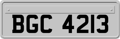 BGC4213