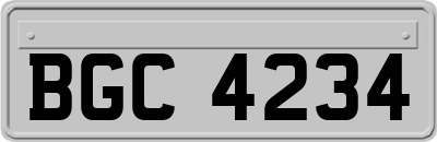 BGC4234