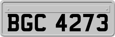 BGC4273