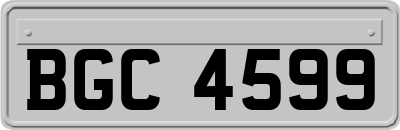 BGC4599