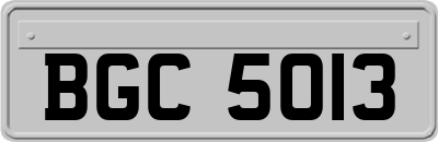 BGC5013