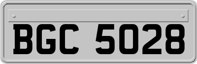 BGC5028