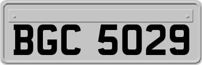 BGC5029