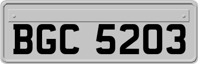 BGC5203