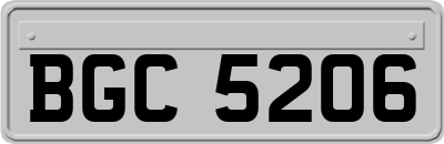 BGC5206