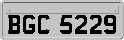 BGC5229
