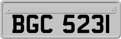 BGC5231