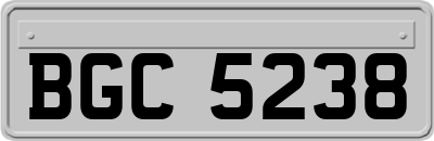 BGC5238