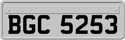 BGC5253