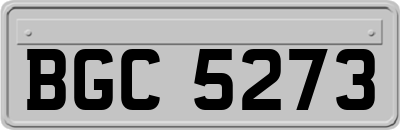 BGC5273