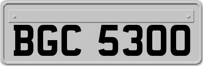 BGC5300