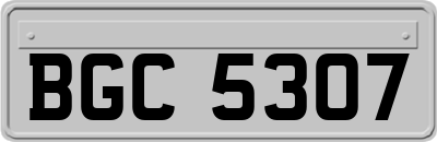 BGC5307