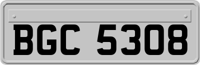 BGC5308