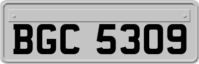 BGC5309