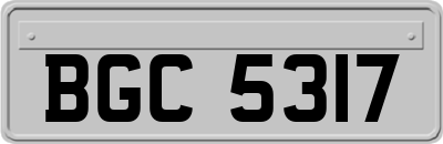 BGC5317