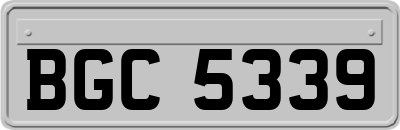 BGC5339