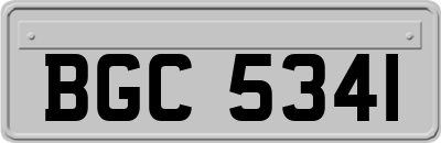 BGC5341