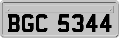 BGC5344