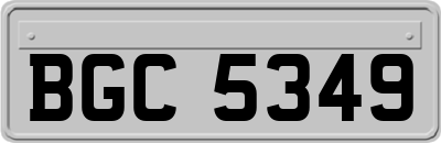 BGC5349