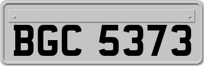 BGC5373