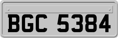 BGC5384