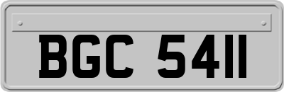 BGC5411