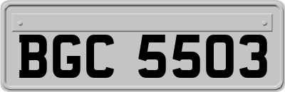 BGC5503