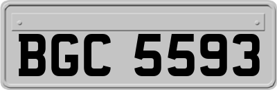 BGC5593