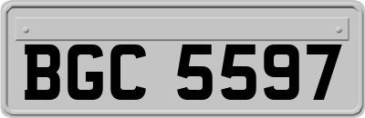 BGC5597