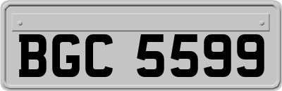 BGC5599