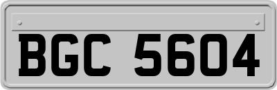 BGC5604