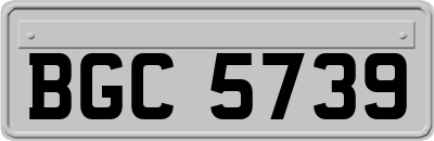 BGC5739