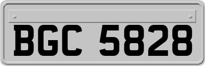 BGC5828