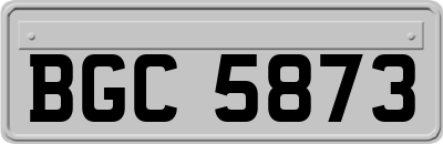 BGC5873