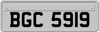 BGC5919