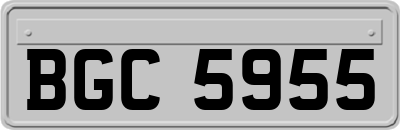 BGC5955