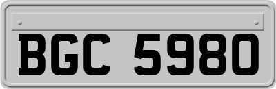 BGC5980