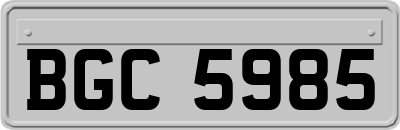 BGC5985