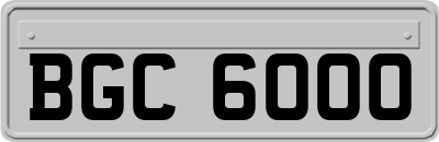 BGC6000