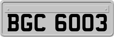 BGC6003